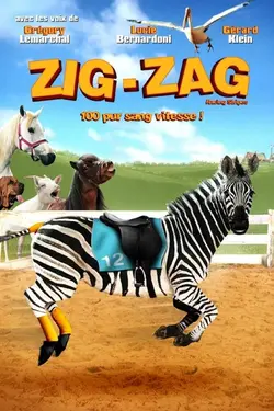 Affiche Zig Zag, l'étalon zébré