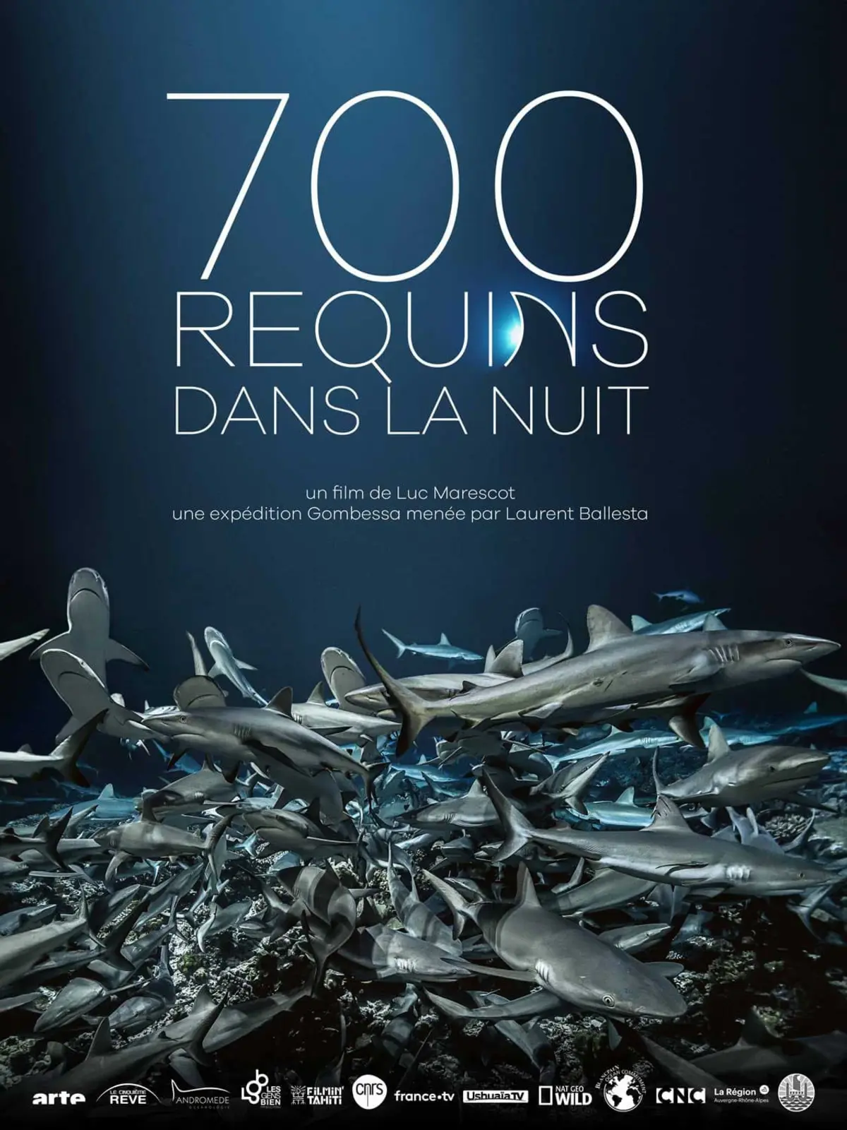 700 requins dans la nuit