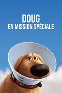 Affiche Doug en mission spéciale