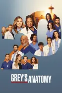 Affiche Grey's Anatomy S13E07 La liste