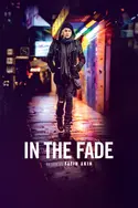 Affiche In the Fade
