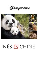 Affiche Nés en Chine