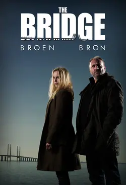 The Bridge (2011)