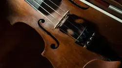 String quartet | Assez vif, très rythmé