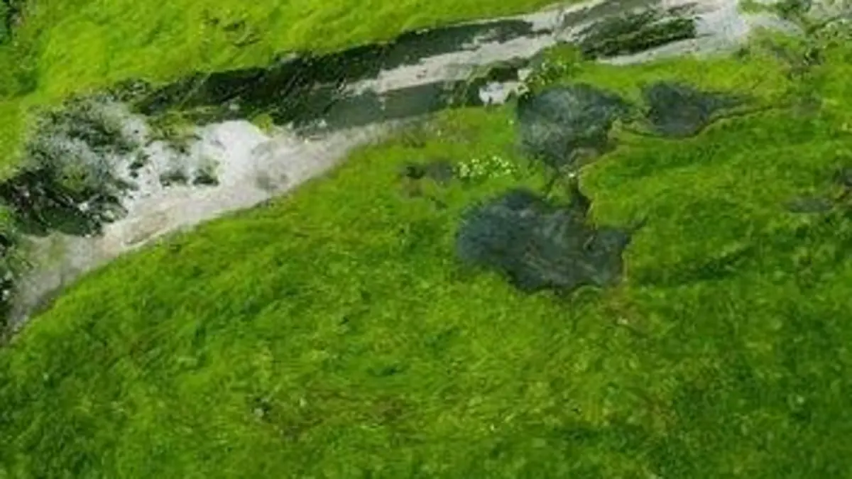 Structures oubliées Routes sans issue