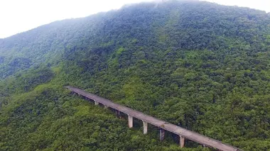 L'autoroute perdue de la forêt vierge