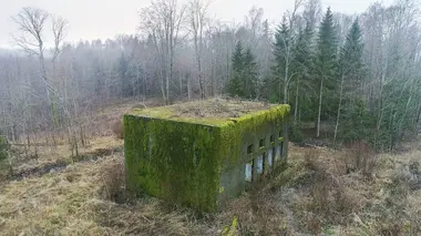 Une ville américaine dans la jungle
