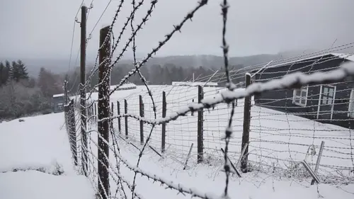 Struthof, le camp oublié Retour aux sources