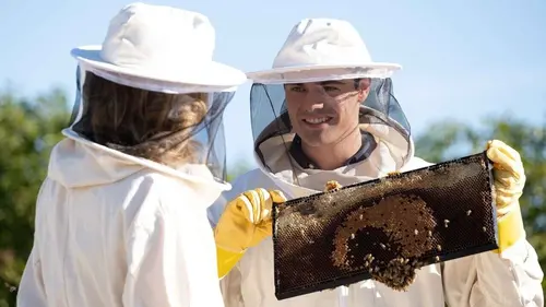 Sucré comme l'amour