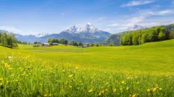 Visuel de Suisse : des citadins bénévoles dans les alpages