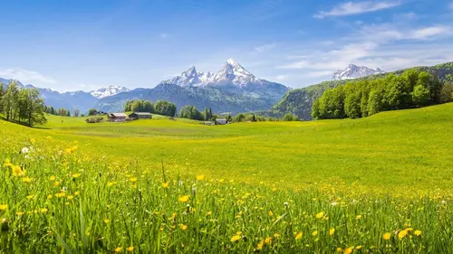 Suisse : des citadins bénévoles dans les alpages