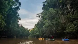 Sulawesi, expédition au coeur de l'île mystère