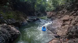 Sulawesi, expédition au coeur de l'île mystère