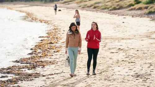 Home and Away S33E10