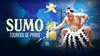 Sumo Tournoi de Paris