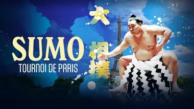 Sumo Tournoi de Paris