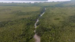 Sundarbans, le dernier royaume du tigre