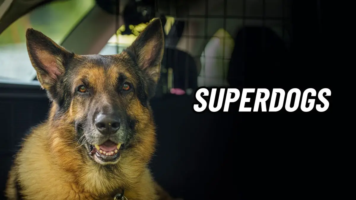 Super Dogs
