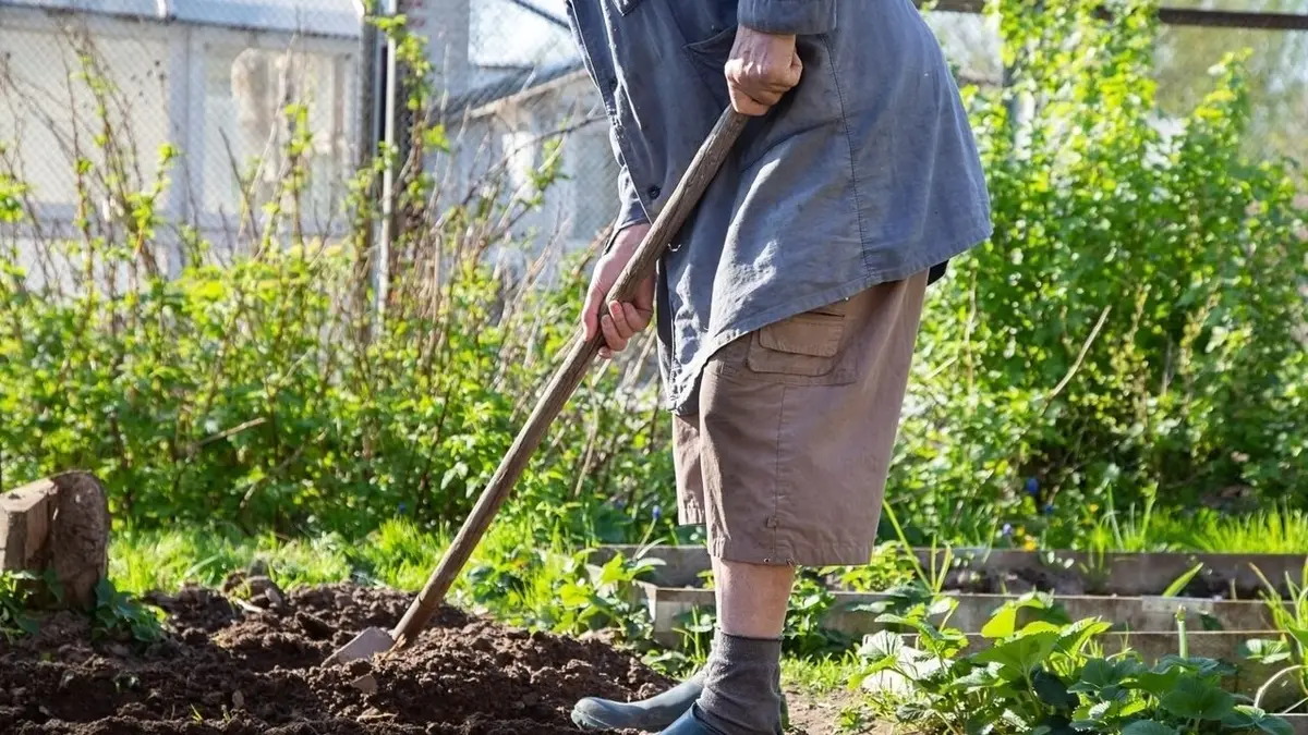 Super-seniors en pleine forme