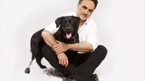 Super vétérinaire S09E03 Bella, jeunes hérissons et Gizmo