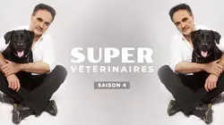 Super vétérinaire S04E06 Sera, Teddy et Wilson