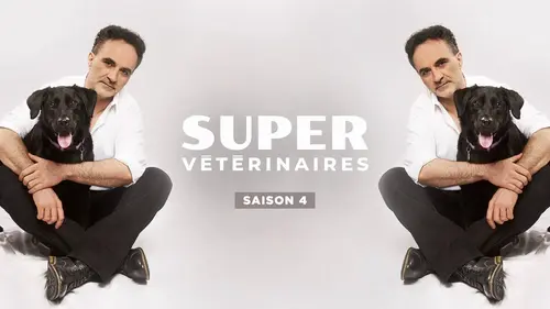 Super vétérinaire S04E13 Tank, Barney & Mouse