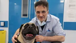 Super vétérinaire Oz, Ollie and Bayleigh