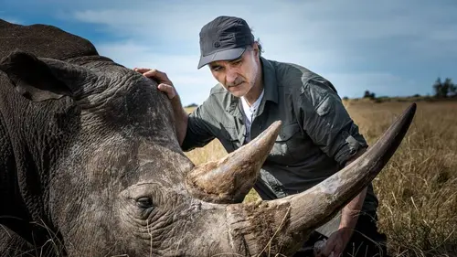 Super vétérinaire Safari Special