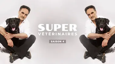 Super vétérinaire S04E13 Tank, Barney & Mouse