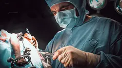 Audiences TV : Super vétérinaire : technologies bioniques