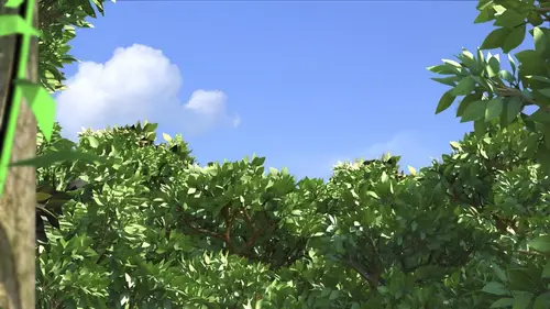 Super Wings, paré au décollage ! S03E10 La grosse bêbête