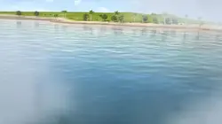 Super Wings, paré au décollage ! S03E15 Superstar del castello di sabbia