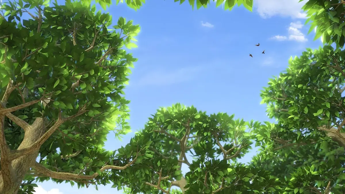 Super Wings, paré au décollage ! S03E38 La récolte des kiwis