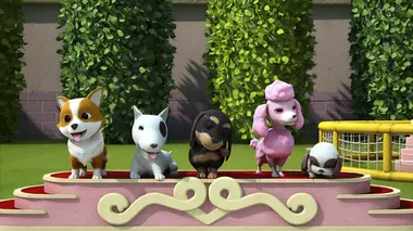 Super Wings, paré au décollage ! S01E05 Les petits chiens de son altesse