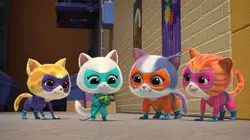 Visuel de SuperChatons
