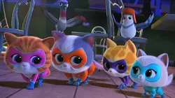 Visuel de SuperChatons