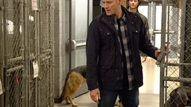 Supernatural S09E05 Un après-midi de chien