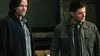 Sam Winchester dans Supernatural S08E15 Les familiers (2013)