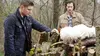 Sam Winchester dans Supernatural S10E22 La vengeance à tout prix (2014)