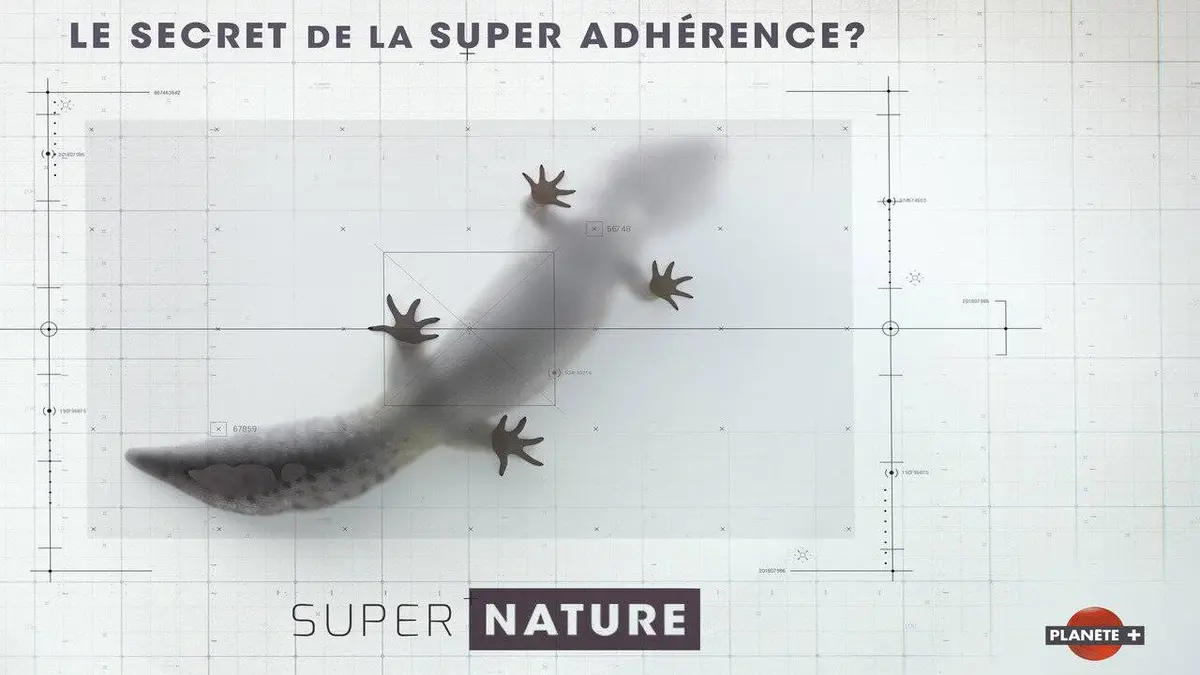 Supernature S01E01 Adhérence