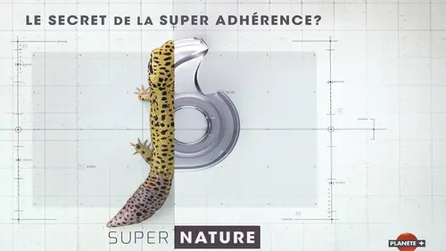Casting Supernature S01E03 Sensibilité