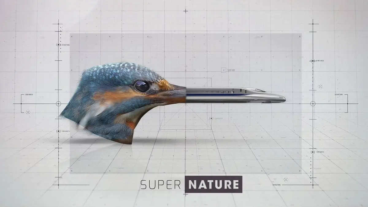 Supernature S01E04 Résistance