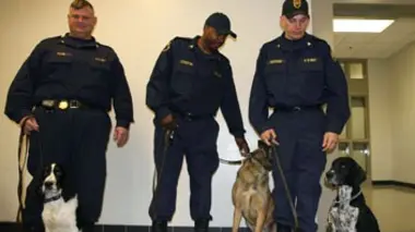 La prison haute sécurité