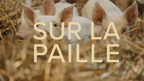 Sur la paille replay