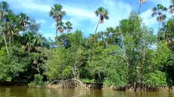 Sur la piste de l'Orégon