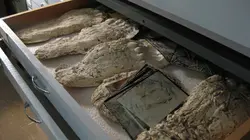 Visuel de Sur la piste des aliens