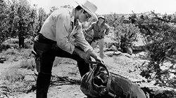 Visuel de Sur la piste des Comanches