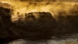 Sur la piste des gnous