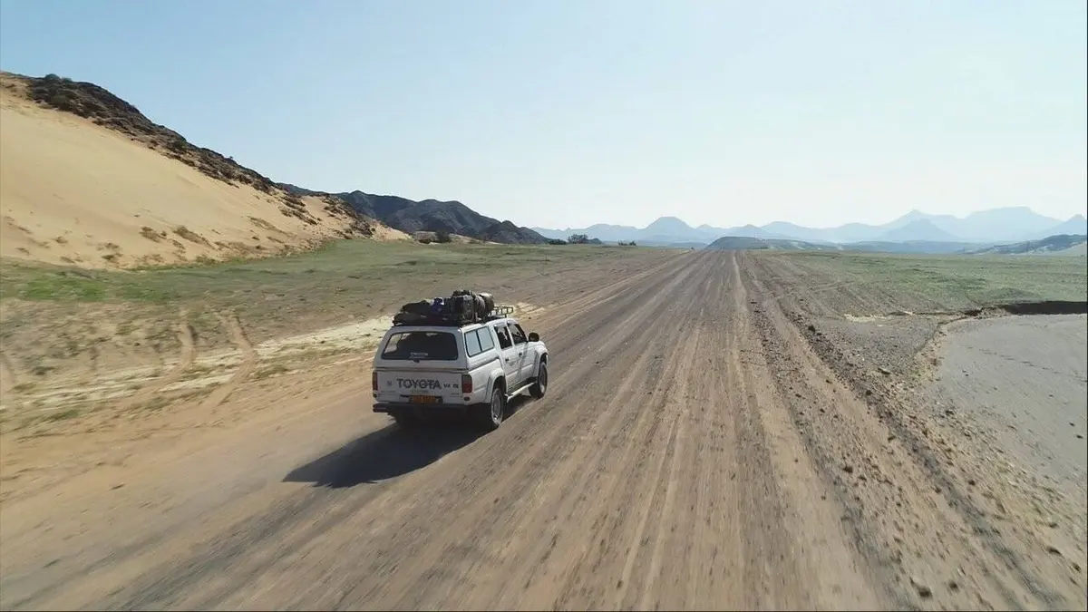 Sur la piste des lions du Namib...