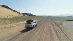 Sur la piste des lions du Namib...